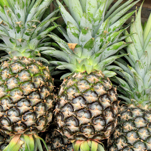 Pineapple