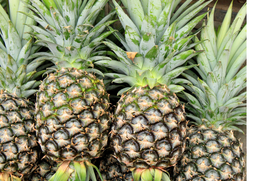 Pineapple